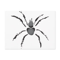 Hairy Spider
