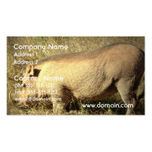 Hairy Warthog Business Cards