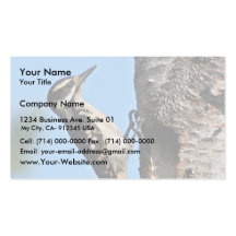 Hairy Woodpecker Business Card Template
