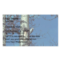 Hairy Woodpecker Business Cards