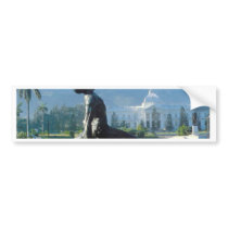 HAITI EARTHQUAKE RELIEF BUMPER STICKERS