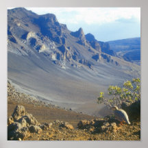 Haleakala Crater and Chukar Poster