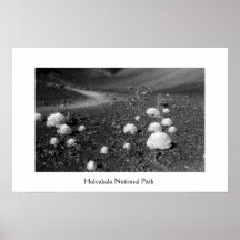 Haleakala National Park Poster