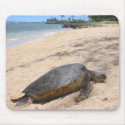Haleiwa Honu mousepads