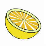 Half a Lemon photo sculptures