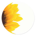 Half a Sunflower