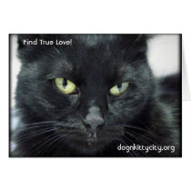 Halle - Find True Love! Postcard