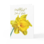hallelujah he is alive cards