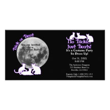 Halloween 3 Cats Photo Card