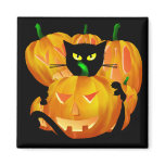 Halloween Black Cat and Pumpkins blackbg magnets