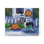 Halloween Boston Terrier mischief postcards