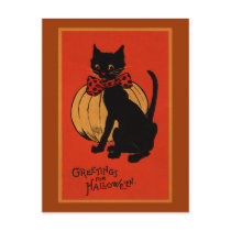 Halloween Cat and Pumpkin Postcard