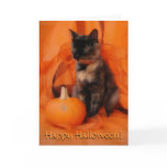 Halloween Cat Card