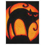 Halloween Cat flyers
