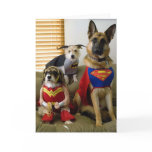 Halloween-Costume cards