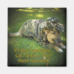 Halloween Dog in Camouflage Refrigerator Magnets