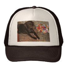 Halloween Dog with Sweet Tooth Hat