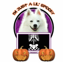 Halloween - Just a Lil Spooky - American Eskimo