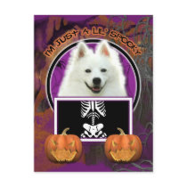 Halloween - Just a Lil Spooky - American Eskimo