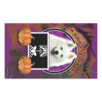 Halloween - Just a Lil Spooky - American Eskimo Rectangle Stickers