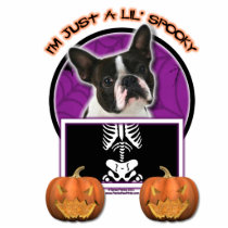 Halloween - Just a Lil Spooky - Boston Terrier