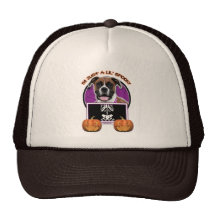 Halloween - Just a Lil Spooky - Boxer - Vindy Hat