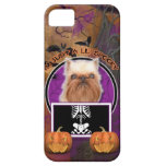 Halloween - Just a Lil Spooky - Brussels Griffon