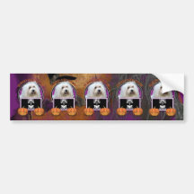 Halloween - Just a Lil Spooky - Coton de Tulear Bumper Stickers