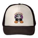 Halloween - Just a Lil Spooky - Havanese Hats