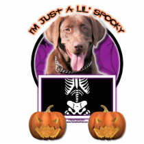 Halloween - Just a Lil Spooky - Labrador Chocolate