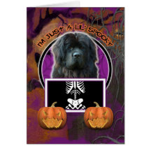 Halloween - Just a Lil Spooky - Newfoundland Greeting Cards