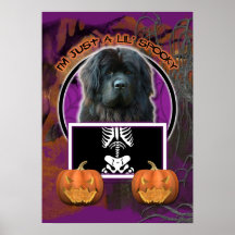Halloween - Just a Lil Spooky - Newfoundland Poster