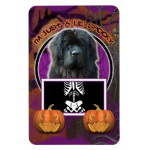 Halloween - Just a Lil Spooky - Newfoundland Rectangle Magnets