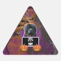 Halloween - Just a Lil Spooky - Newfoundland Stickers