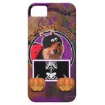Halloween - Just a Lil Spooky - Pom - Gizzy