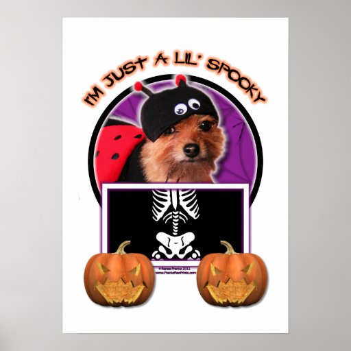 Halloween - Just a Lil Spooky - Pom - Gizzy Poster