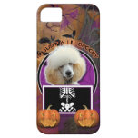Halloween - Just a Lil Spooky - Poodle - Apricot