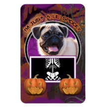 Halloween - Just a Lil Spooky - Pug Flexible Magnet