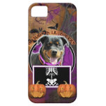 Halloween - Just a Lil Spooky - Rottie - SambaParT