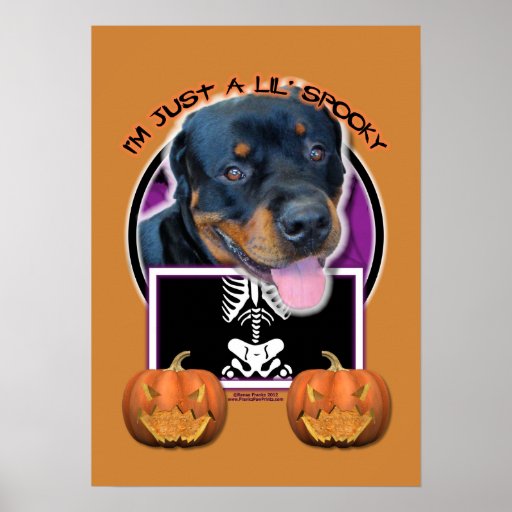 Halloween - Just a Lil Spooky - Rottweiler Poster