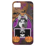 Halloween - Just a Lil Spooky - Siberian Husky