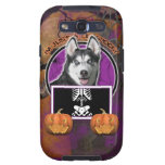 Halloween - Just a Lil Spooky - Siberian Husky