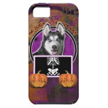 Halloween - Just a Lil Spooky - Siberian Husky