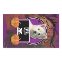 Halloween - Just a Lil Spooky Westie
