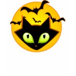 Halloween Kitty & Batties t-shirts