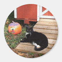 Halloween kitty fridge magnets