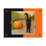Halloween Kitty Postcard