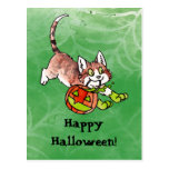 Halloween Kitty Postcard