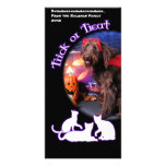Halloween - LabraDoodle - Max Photo Card