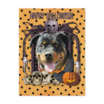 Halloween Nightmare - Rottweiler - SambaParTi Postcards